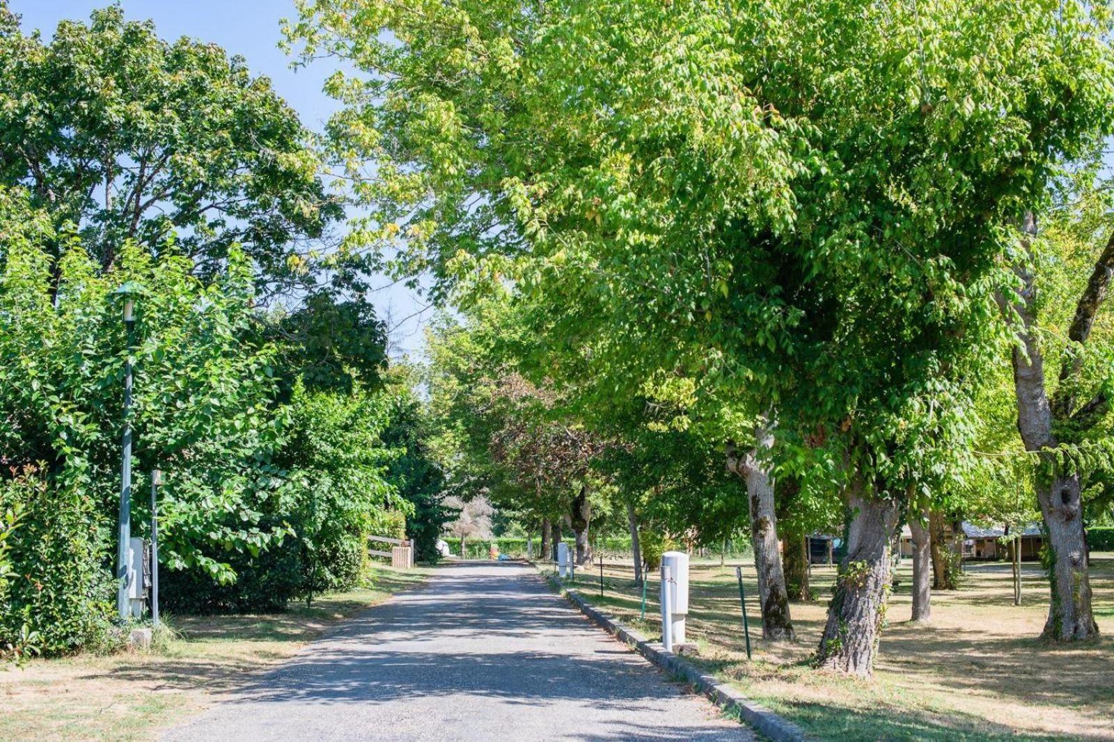 Camping Onlycamp L'Argente Condom Zewnętrze zdjęcie
